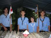 dolce pannoso tigri.jpg